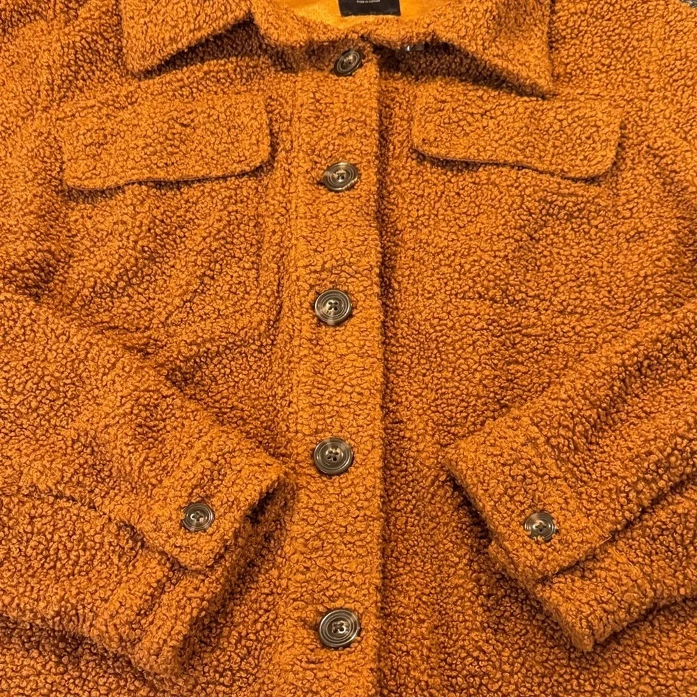 Lane Bryant cozy teddy
